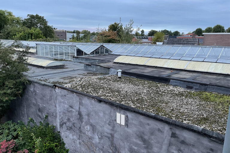 Het project Bloemenhof – plannen, partijen en stilzwijgen