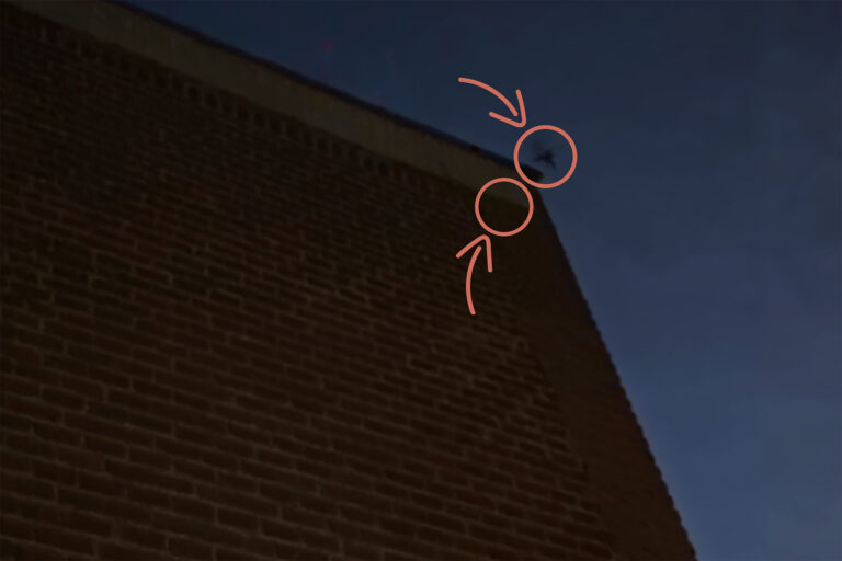 Vleermuis Tibbe pand - De Bloemenhof Almelo